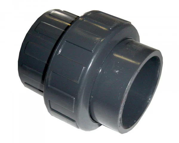 bowi-1238844