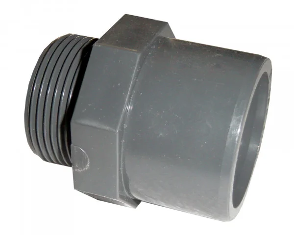 bowi-1239217