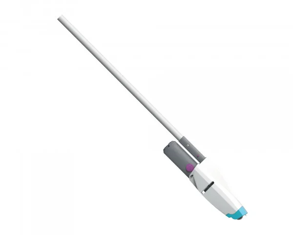 bowi-1240269