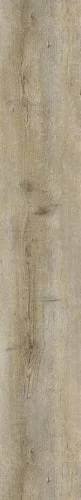 koempf24-1154695