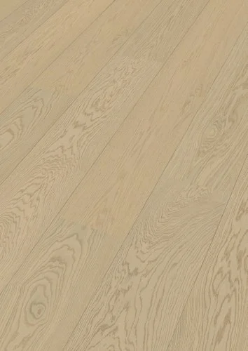 koempf24-1155081