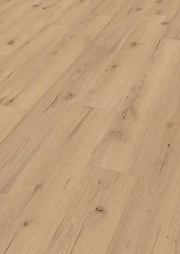 koempf24-1166213