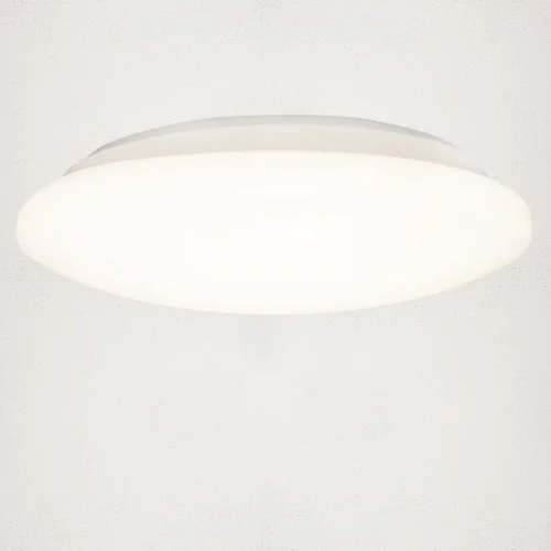 koempf24-1178796