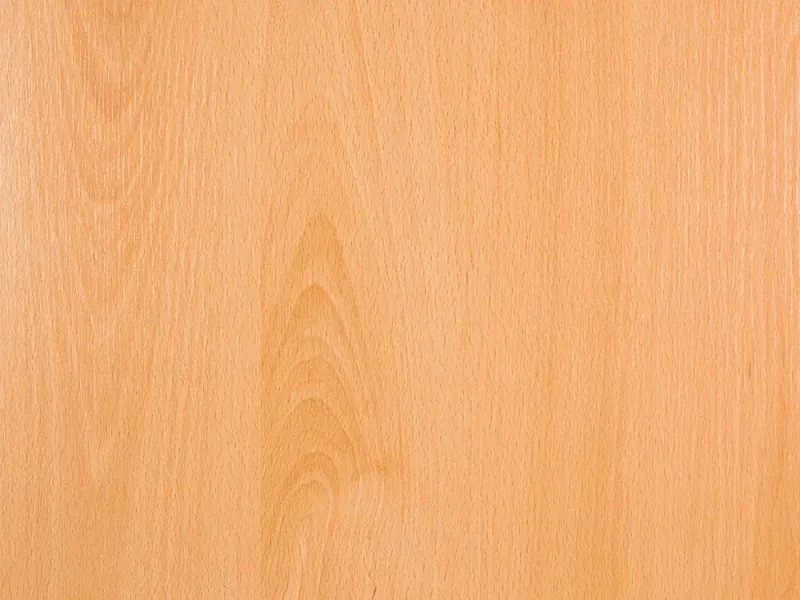 obi1-1028506