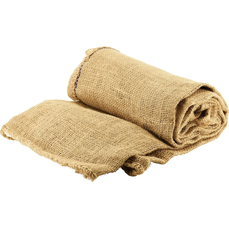 obi2-1031098