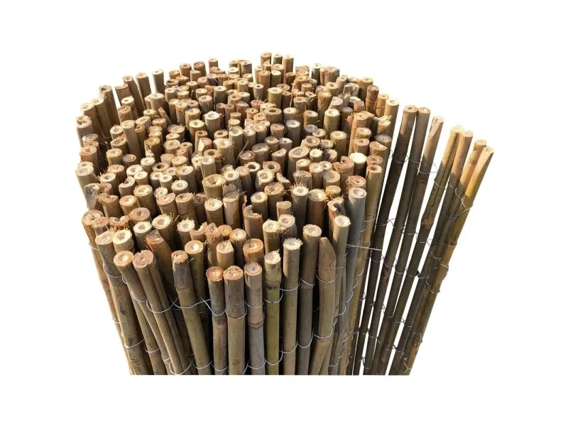 obi2-1050524