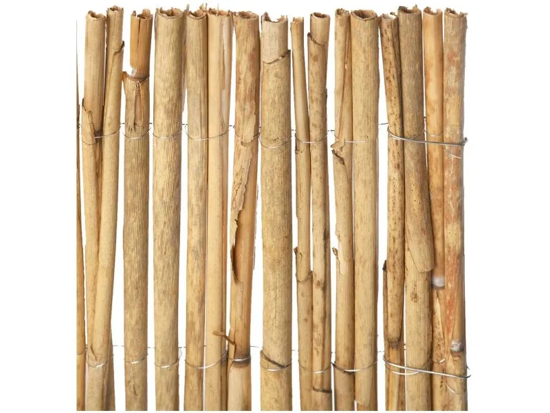 obi2-1062674