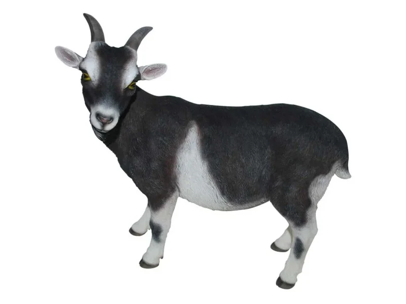 obi2-1133751