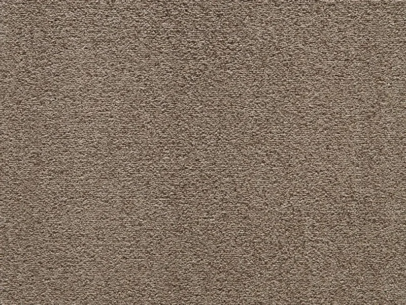 obi3-1038503