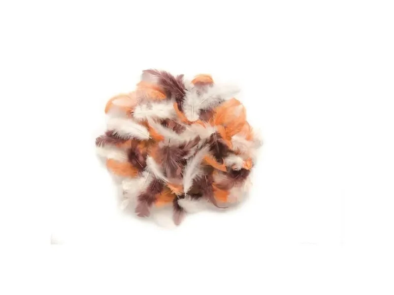 obi3-1086804