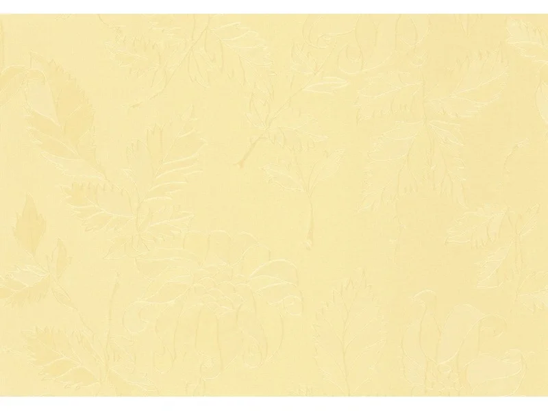 obi3-1100637