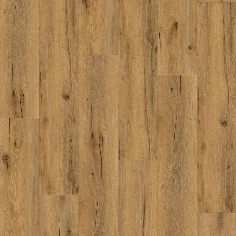 obi3-1103562