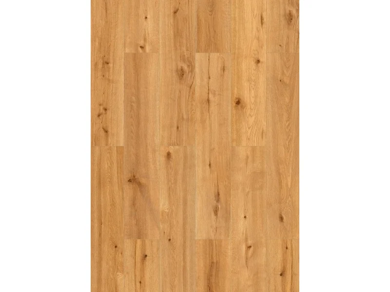 obi3-1112040